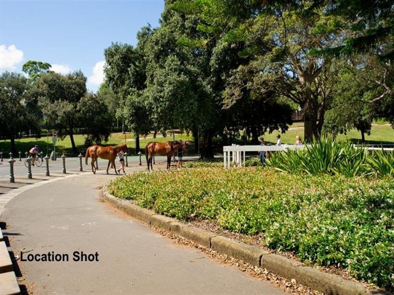 4/127 Cook Road, Centennial Park NSW 2021