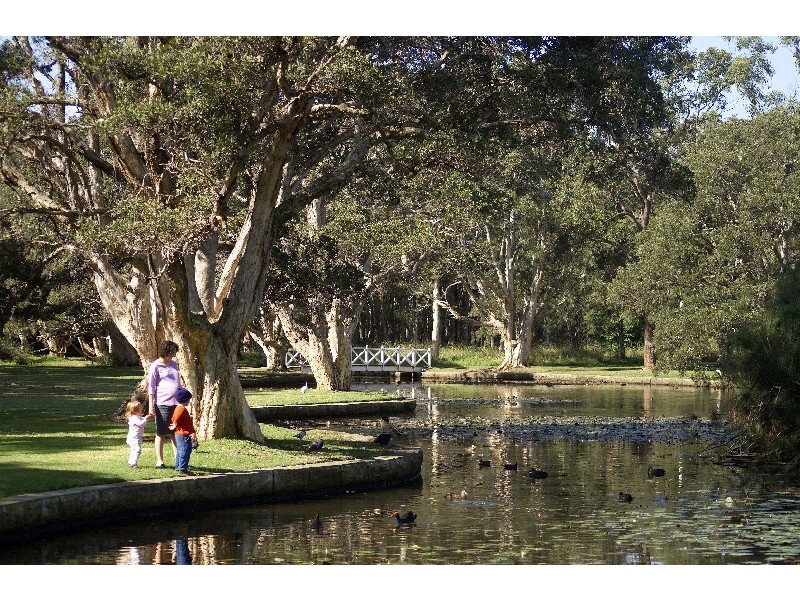 15 Furber Road, Centennial Park NSW 2021