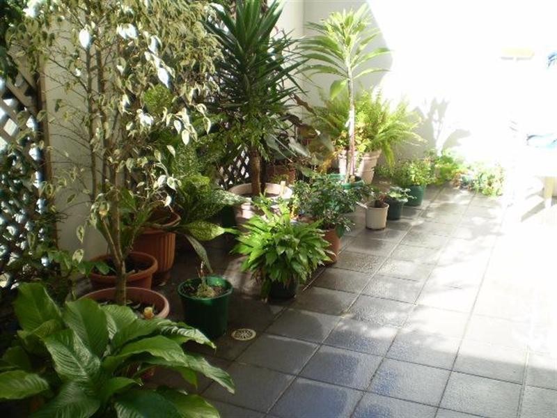 2/17-23 Newland Street, Bondi Junction NSW 2022