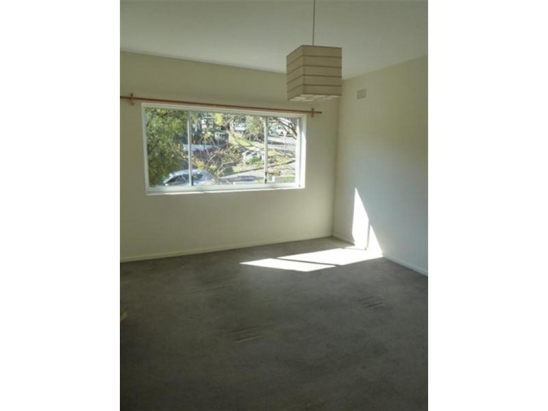 5/17 Palmerston Avenue, Bronte NSW 2024