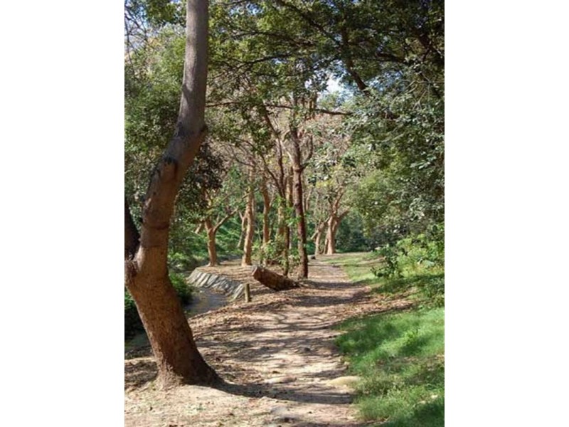 466 Bronte Road, Bronte NSW 2024