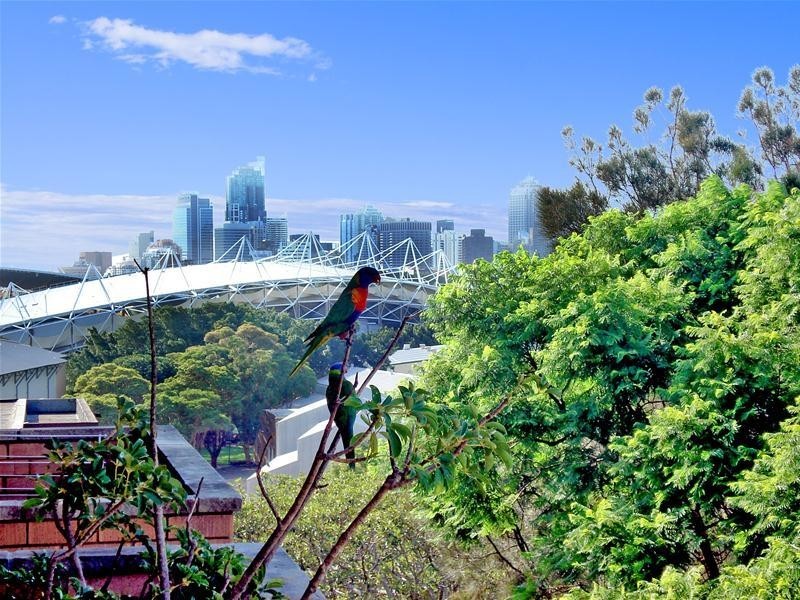 658/58 Cook Road, Centennial Park NSW 2021