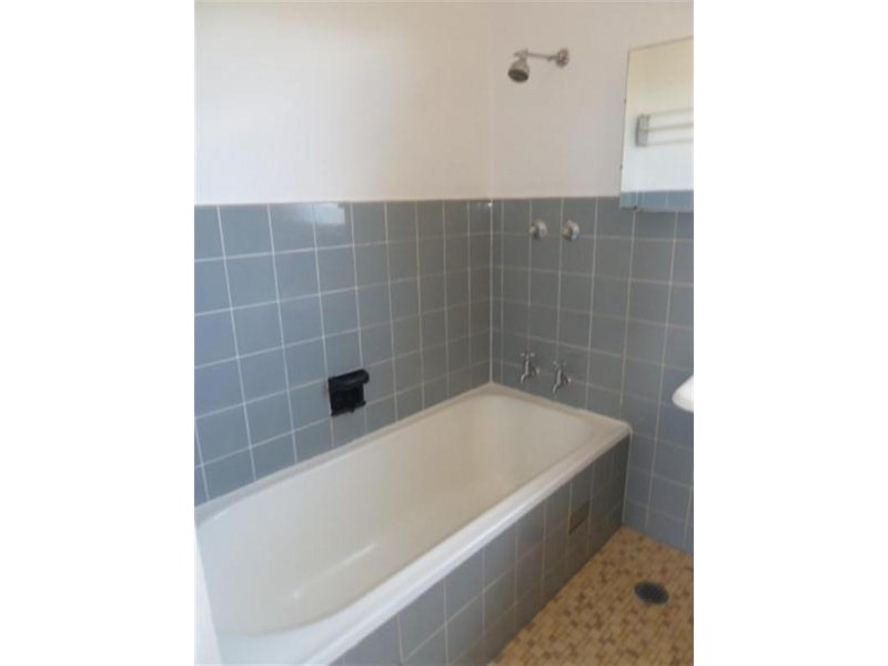 9/100 Warners Avenue, Bondi NSW 2026