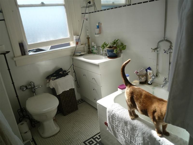 37/1 Beach Road, Bondi NSW 2026