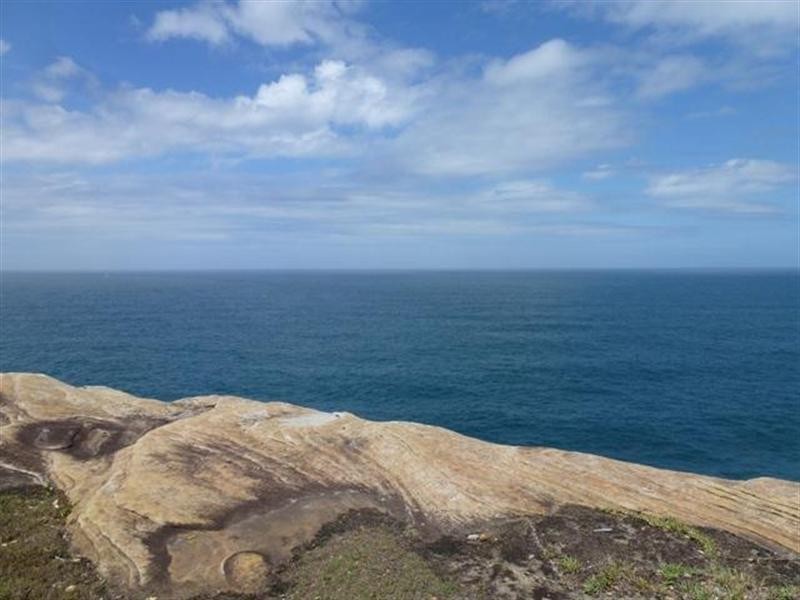 254 Old South Head Road, Vaucluse NSW 2030