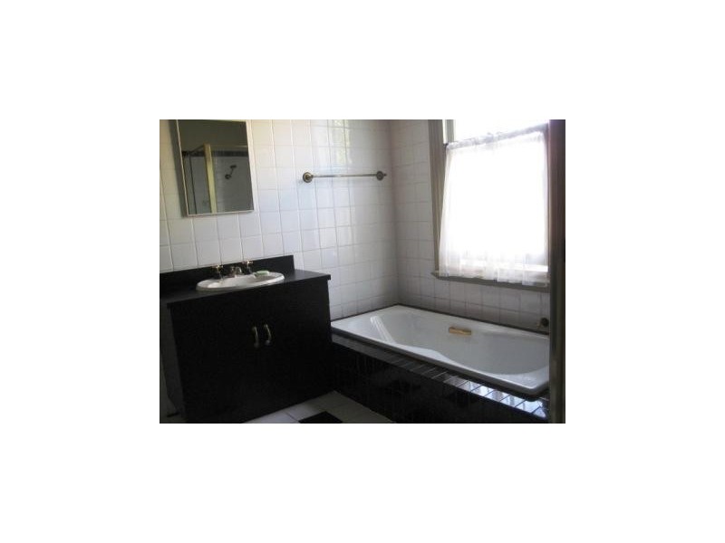 15 West Street, Paddington NSW 2021