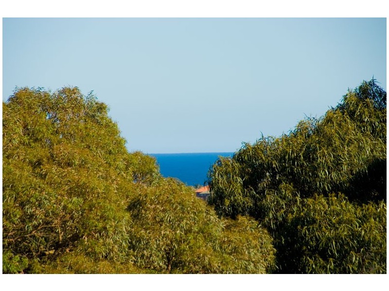 7/158 Clovelly Road, Randwick NSW 2031