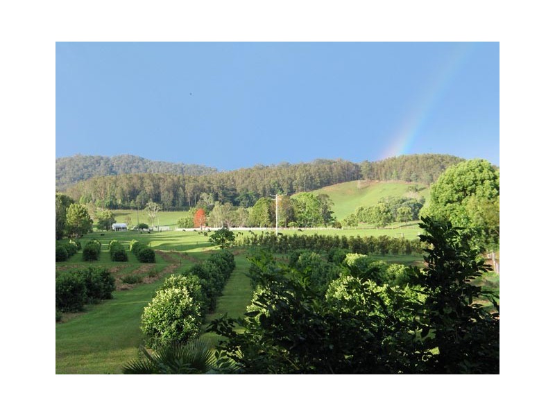 100 Upper Crystal Creek Road, Murwillumbah NSW 2484