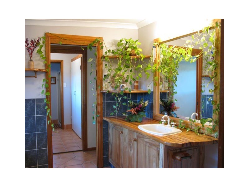 100 Upper Crystal Creek Road, Murwillumbah NSW 2484