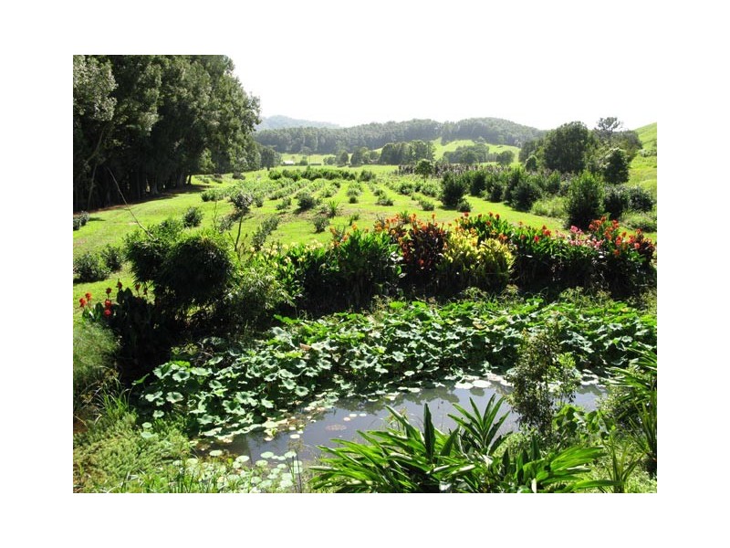 100 Upper Crystal Creek Road, Murwillumbah NSW 2484