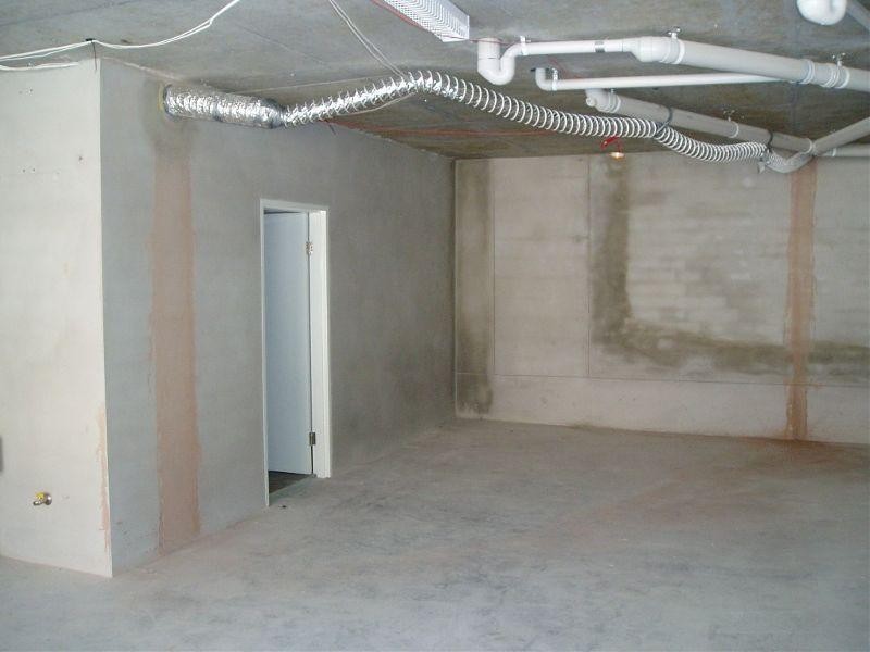 155 Avoca Street, Randwick NSW 2031