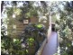 12/94 Birriga Road, Bellevue Hill NSW 2023