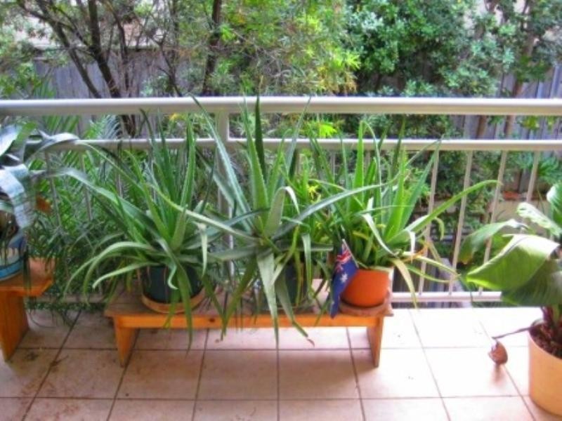 T/hse 9 Fewings Street, Clovelly NSW 2031