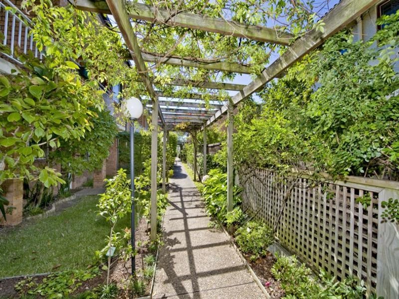 T’hse 6, 44 Carrington Road, Waverley NSW 2024