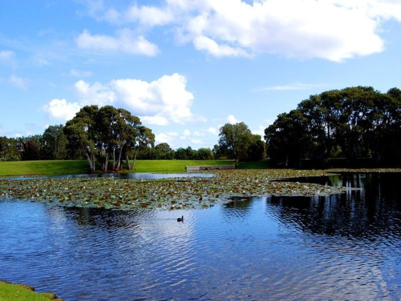 2/12 Figtree Avenue, Randwick NSW 2031