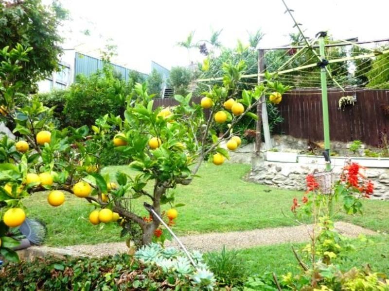 194 The Esplanade, Sylvania NSW 2224