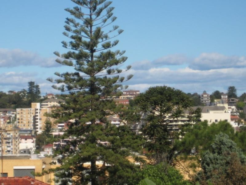 152 Arden Street, Coogee NSW 2034