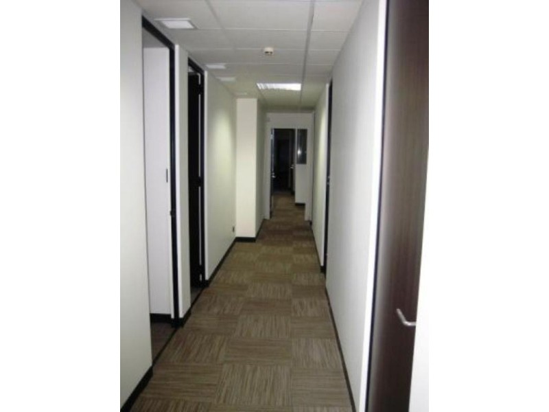 79 Oxford Street, Bondi Junction NSW 2022