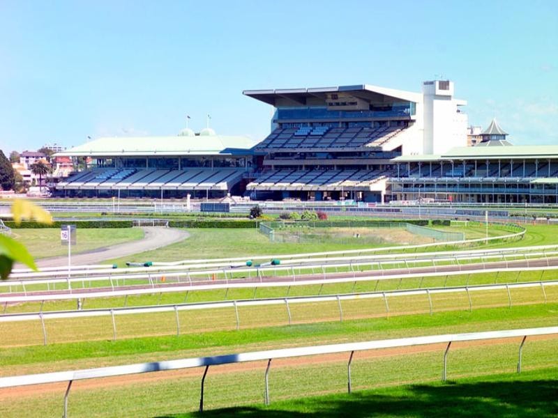 51 St Marks Road, Randwick NSW 2031