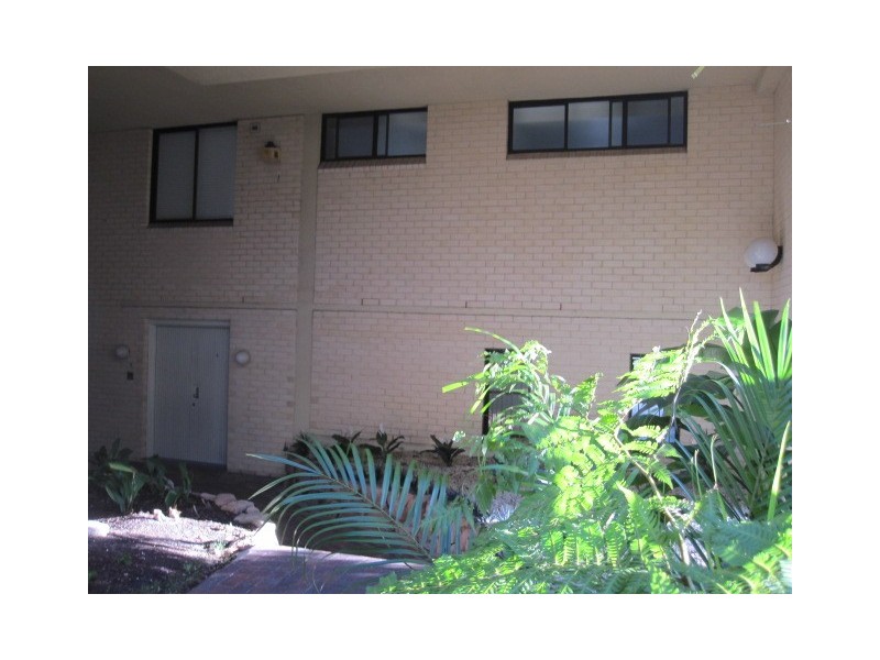 3/170 Ocean Street, Edgecliff NSW 2027