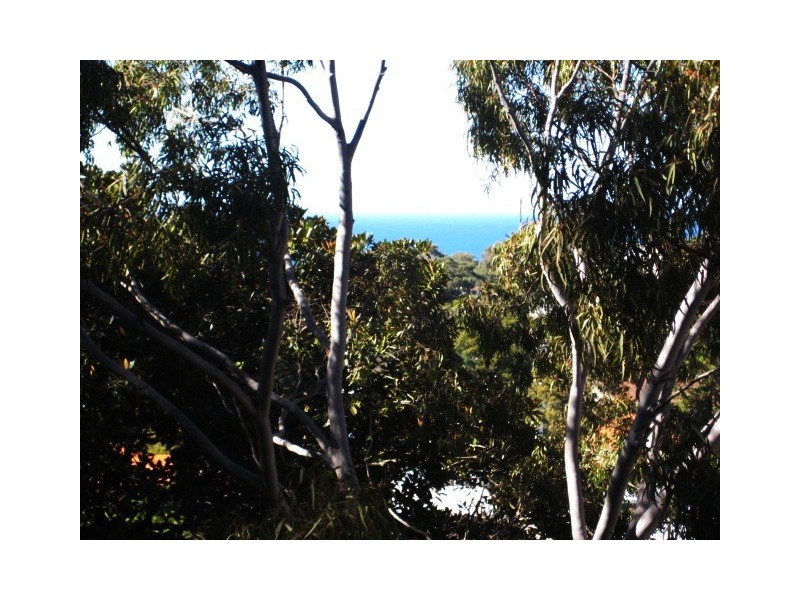 503/72 Henrietta Street, Waverley NSW 2024