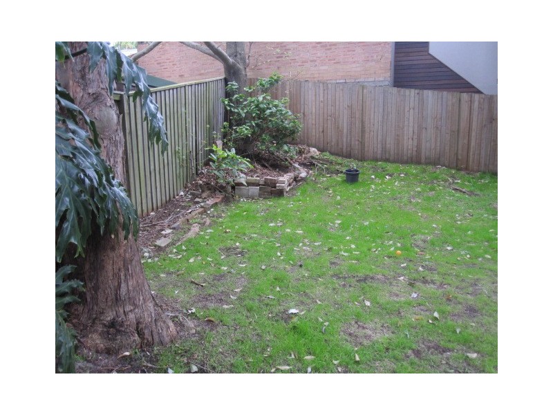 2/3 Bedford Place, Coogee NSW 2034