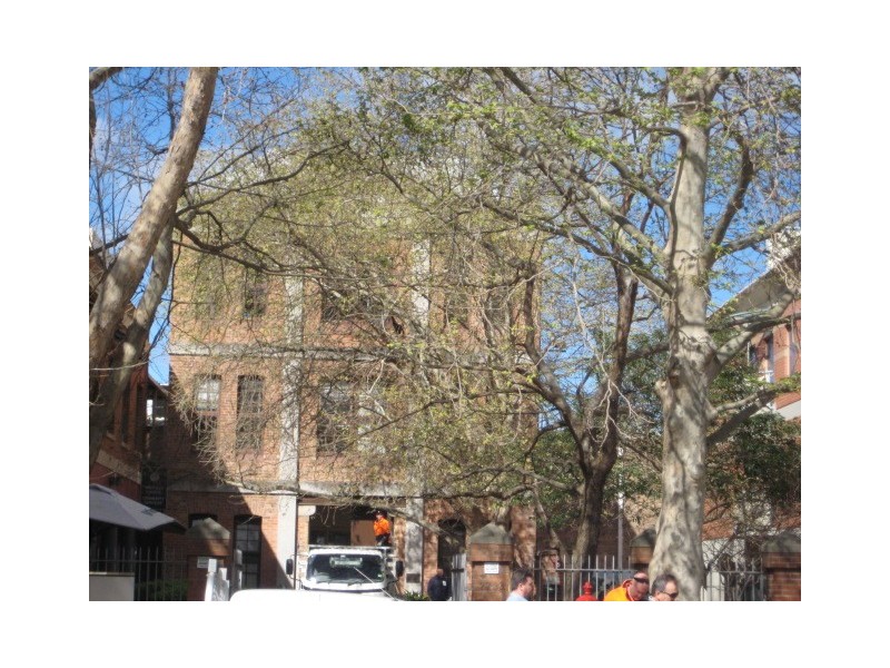 18 Spring Street, Bondi Junction NSW 2022