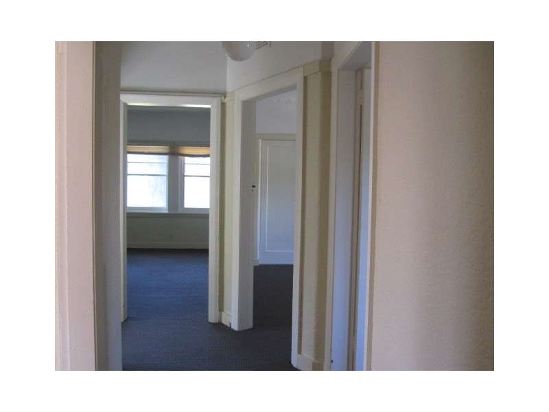 3/62 Dolphin Street, Coogee NSW 2034