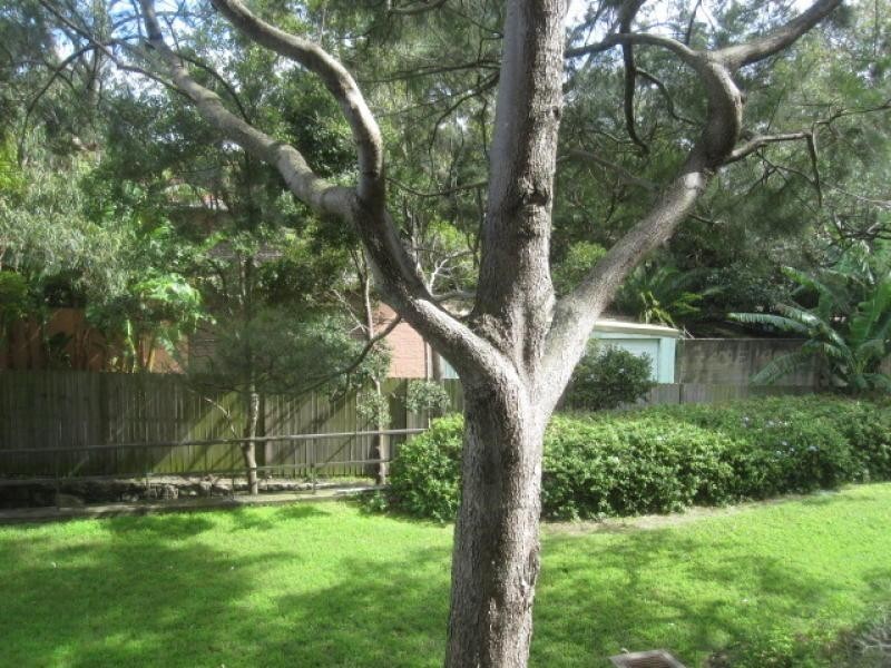 101/16 Roscrea Avenue, Randwick NSW 2031