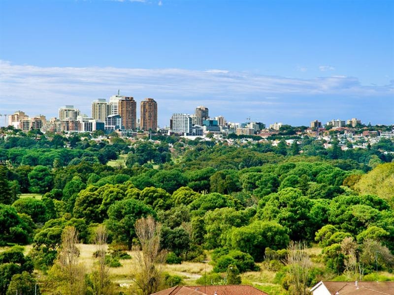 16 Boronia Street, Kensington NSW 2033