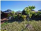 North Lakes QLD 4509
