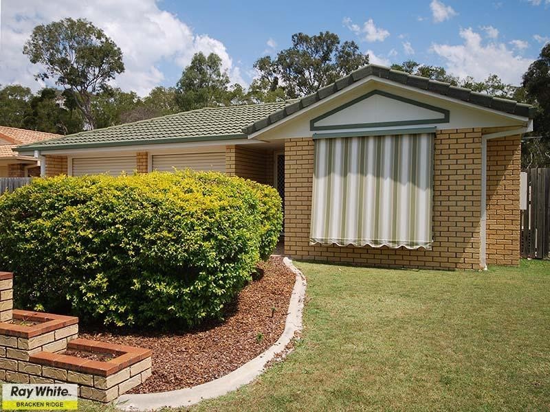 17 Springer Place, Bracken Ridge QLD 4017