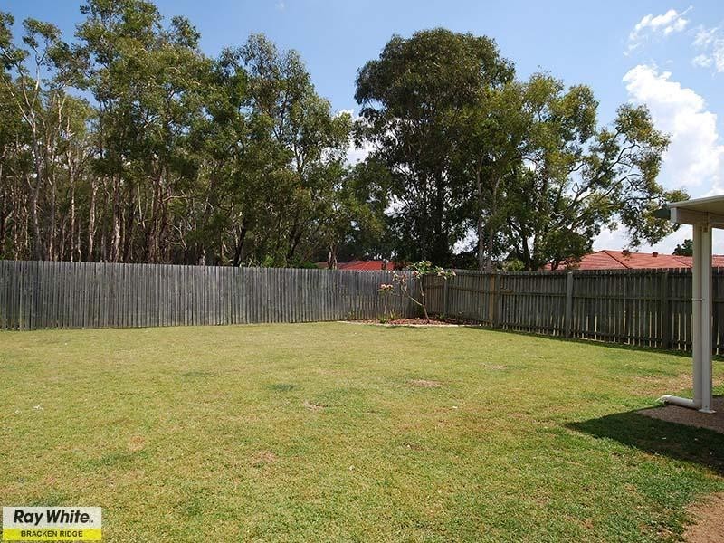 17 Springer Place, Bracken Ridge QLD 4017