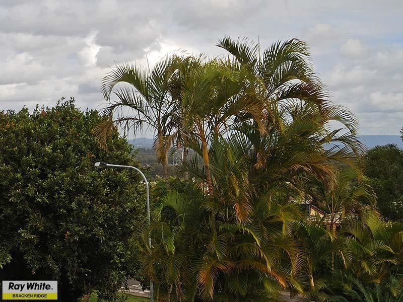 29 Walu Street, Bracken Ridge QLD 4017
