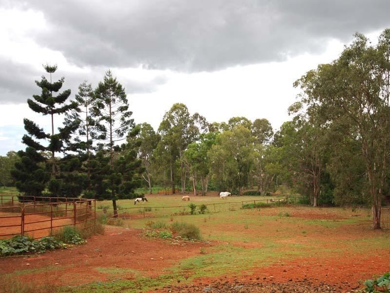 141 Ridley Road, Bridgeman Downs QLD 4035