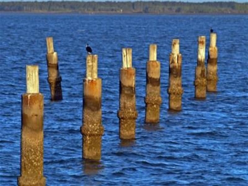 20 ELEVENTH Avenue, Brighton QLD 4017