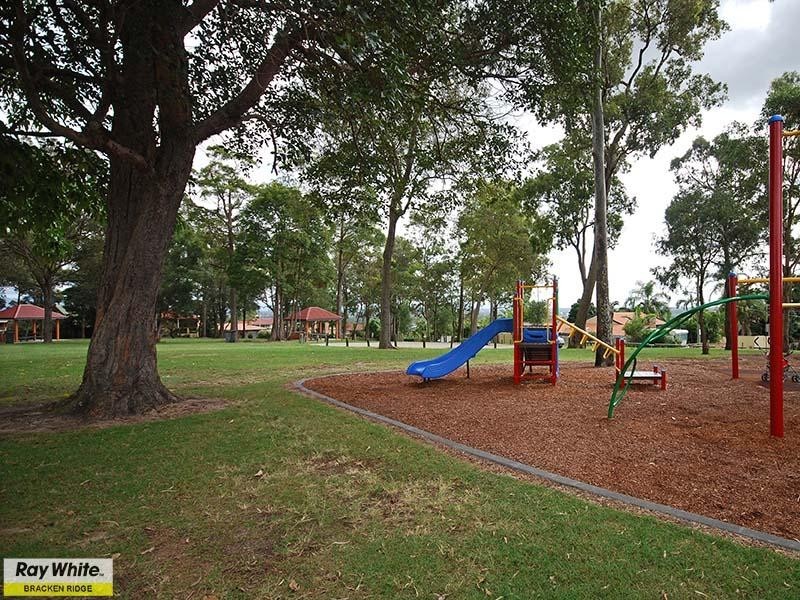 31 SHEAFFE Street, Bracken Ridge QLD 4017