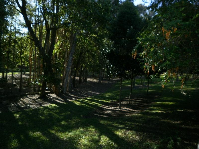 22 Capistrano Street, Bracken Ridge QLD 4017