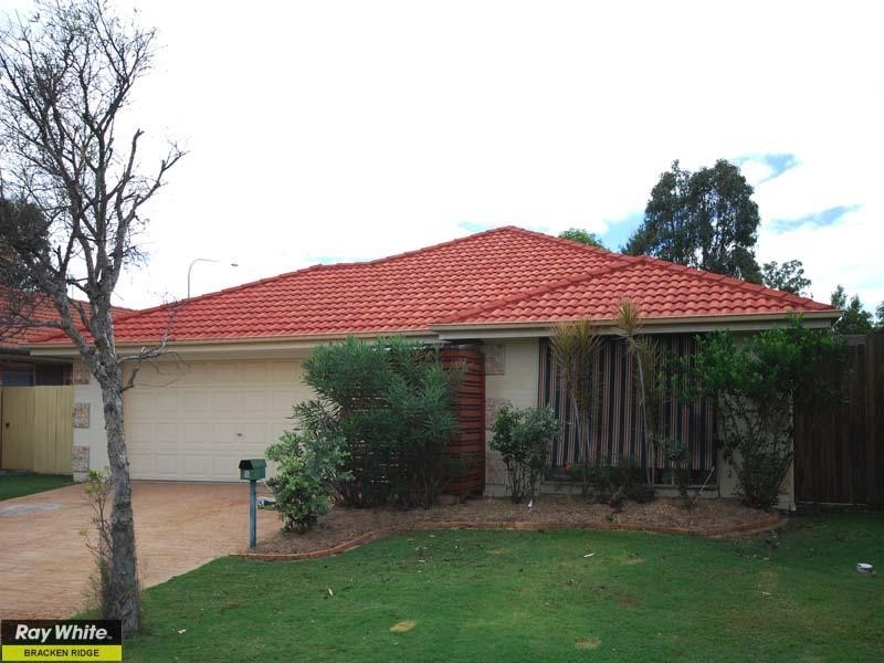 Bracken Ridge QLD 4017