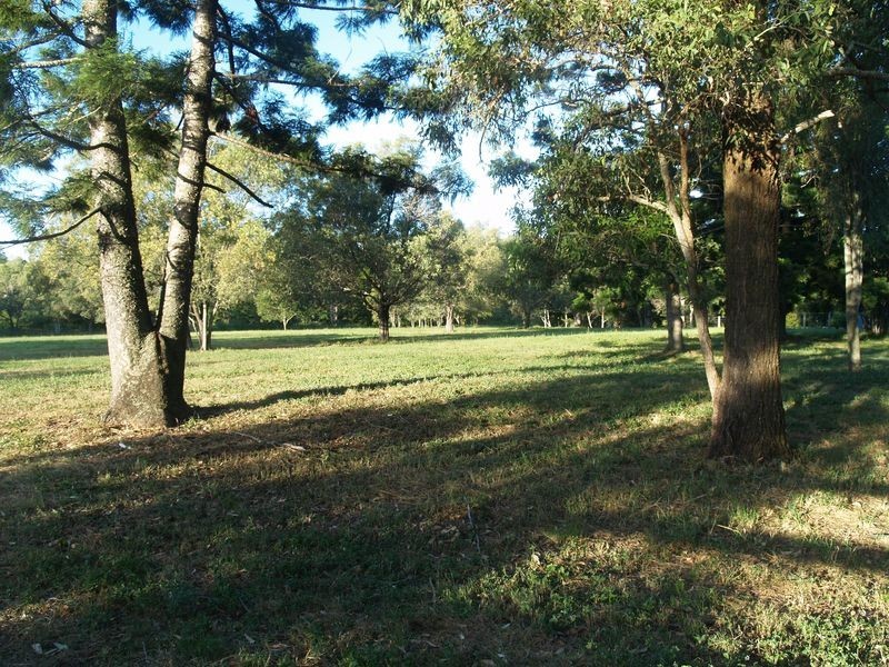 59 Blackbean Street, Jimboomba QLD 4280