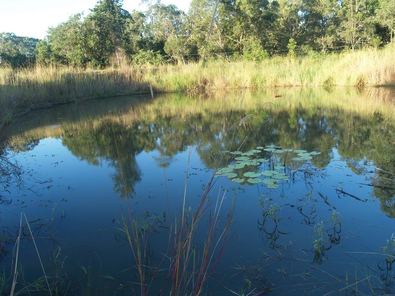 59 Blackbean Street, Jimboomba QLD 4280