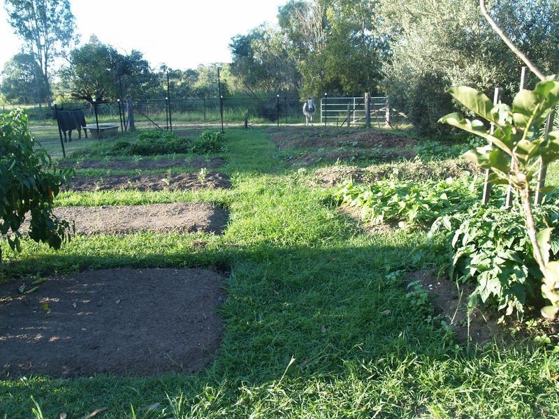 59 Blackbean Street, Jimboomba QLD 4280