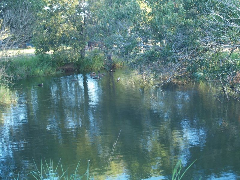 59 Blackbean Street, Jimboomba QLD 4280