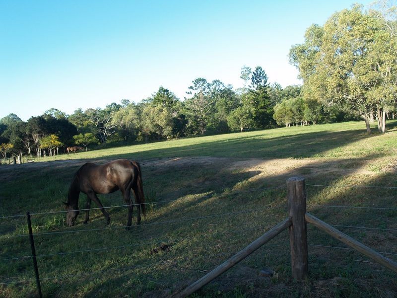 59 Blackbean Street, Jimboomba QLD 4280