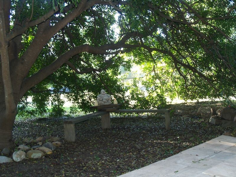 59 Blackbean Street, Jimboomba QLD 4280