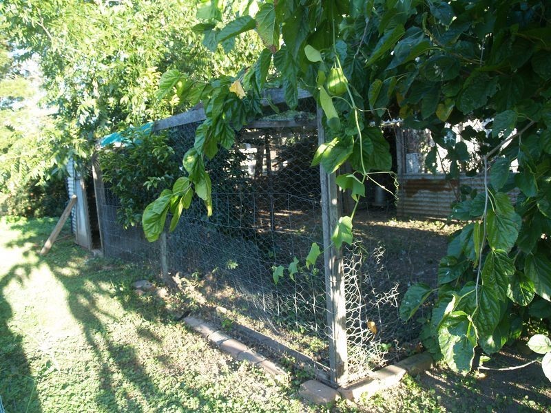 59 Blackbean Street, Jimboomba QLD 4280