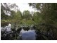 15 Penda Road, Park Ridge South QLD 4125