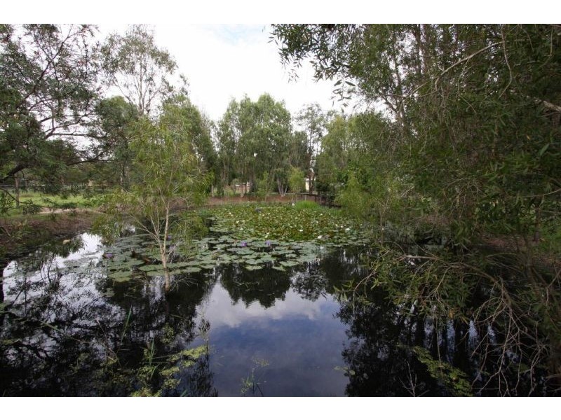 15 Penda Road, Park Ridge South QLD 4125