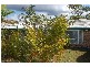4 Billabong Court, Regents Park QLD 4118