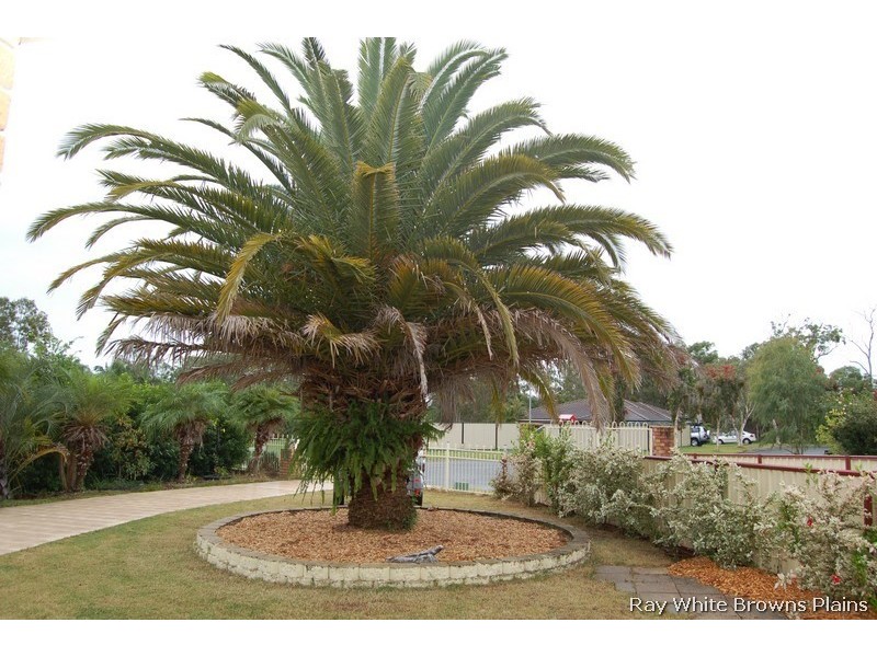 12 Stevens Court, Crestmead QLD 4132